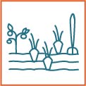 potager selec